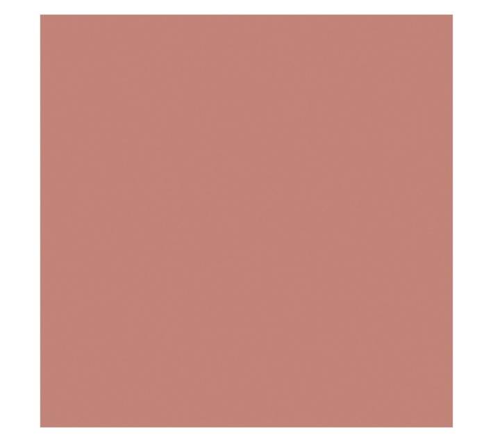 Parrot Products Hob Splashback - Rose Gold (898 x 6 x 700mm)