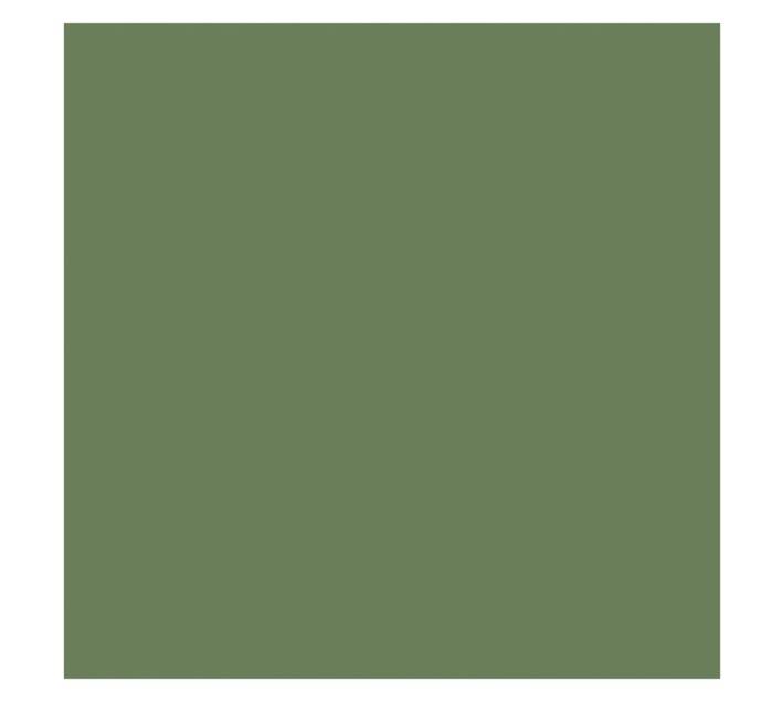 Parrot Products Hob Splashback - Reseda Green (898 x 6 x 700mm)