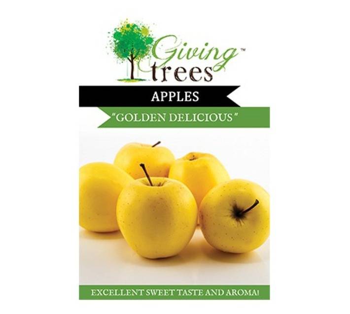 Giving Trees Apple Fruit Tree (10L)