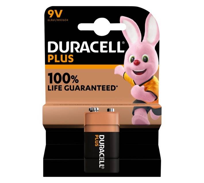 Elecstor 24A LIFEPO4 Battery (12V)