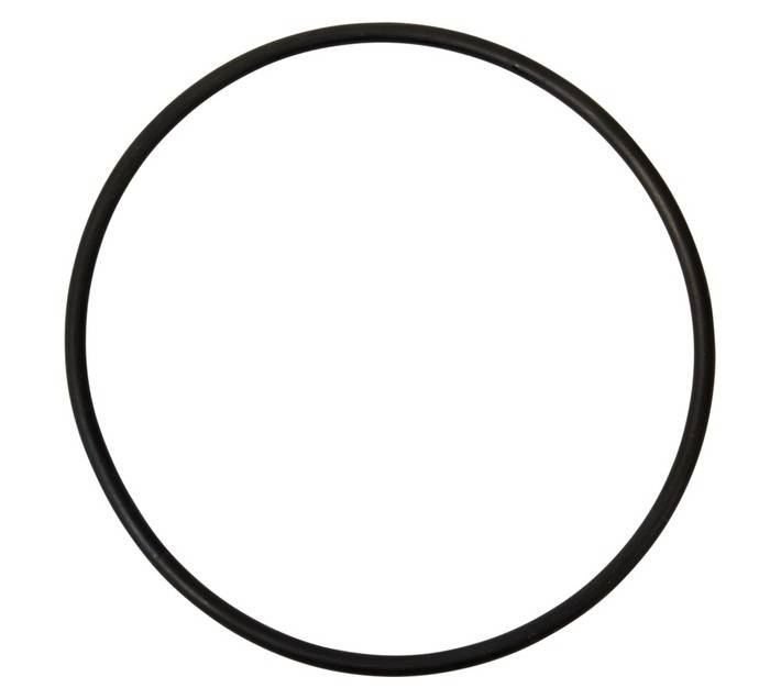 Sun Command Q Pump Lid O Ring