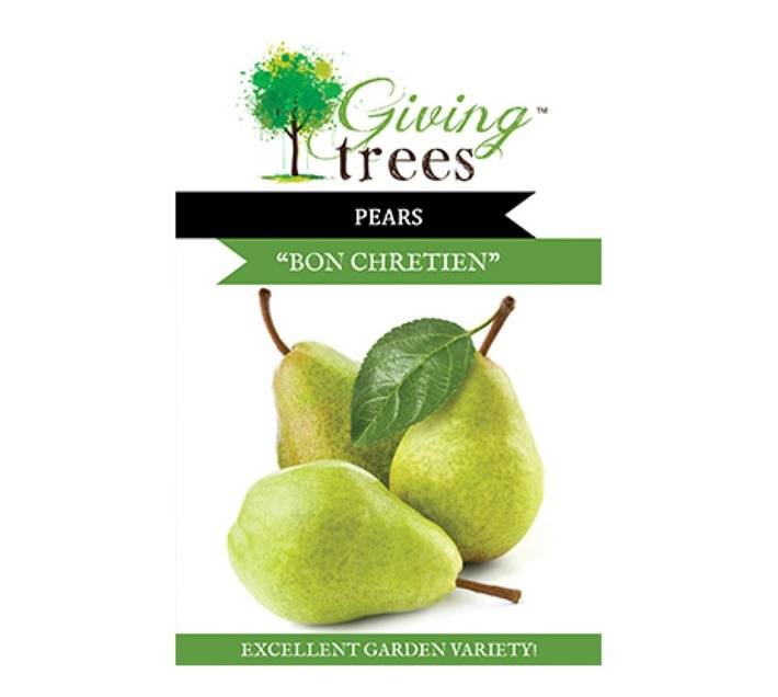 Giving Trees Pear Fruit Tree (10L)