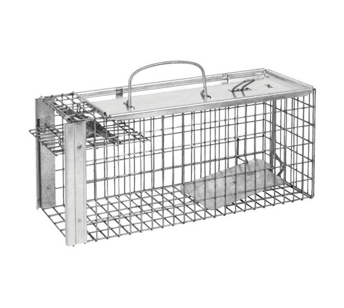 The Big Cheese Cage Rat Trap