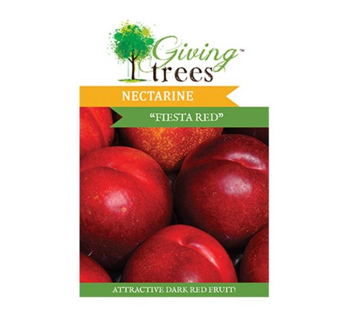Giving Trees Nectarine Fruit Tree (10L)