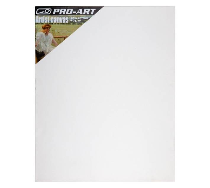 Pro Art Gallery Stretch Canvas (19 x 406 x 508mm)