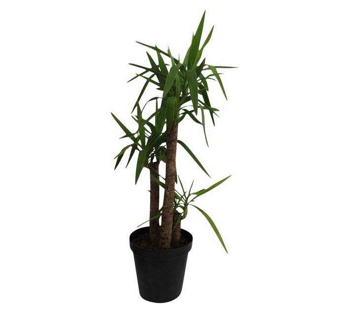 Florex Yucca Cane 3 in 1 Pot (300mm)