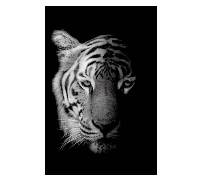 Design House Tiger Canvas - Black (600 x 900 x 600mm)