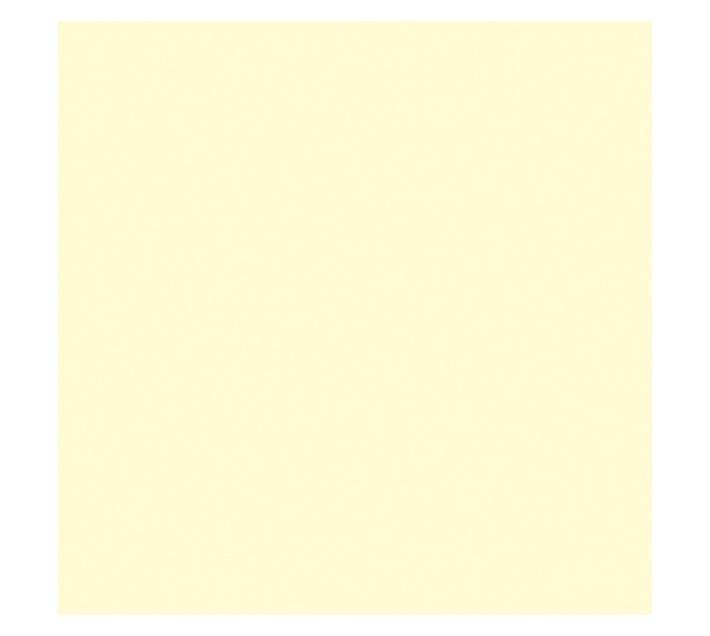 Parrot Products Hob Splashback - Metal Champagne (898 x 6 x 700mm)