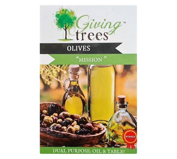 Giving Trees Olive Mission Fruit Tree (10L)