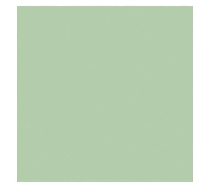 Parrot Products Hob Splashback - Pastel Green (898 x 6 x 700mm)