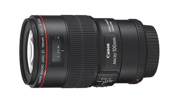 Canon RF 100mm f/2.8L Macro IS USM Lens