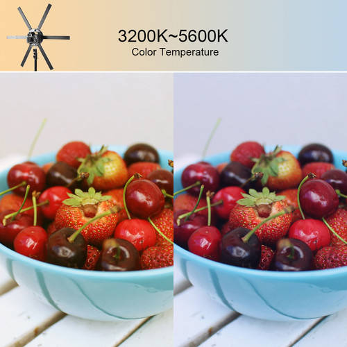 GVM-600S LED Ring Light Live Broadcasting Lamp