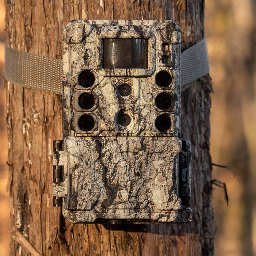 Bushnell 32MP CORE DS-4K No Glow Trail Camera