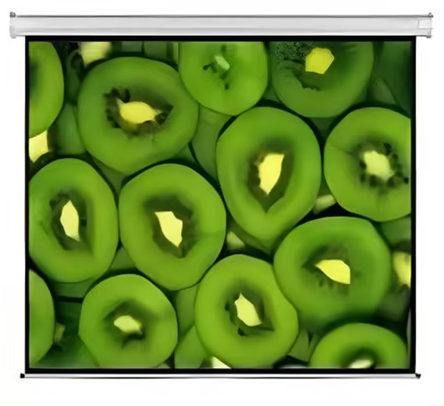 Esquire Electric Projector Screen 300 X 169