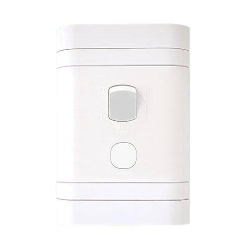 Lesco 2 Pole Flush Isolator Switch with Rectangle
