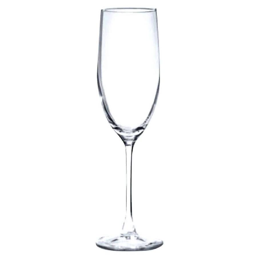 Champagne Flute Glasses 24pc