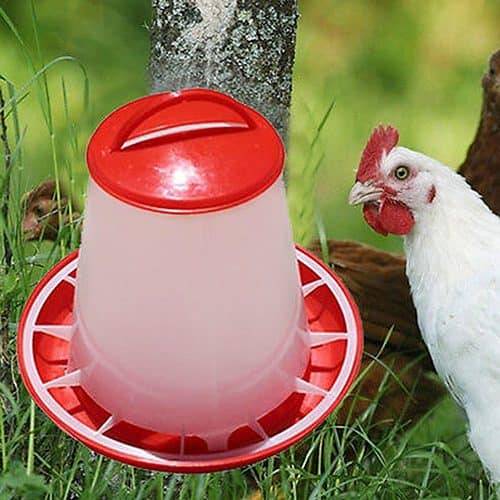 Chicken Feeders Plastic