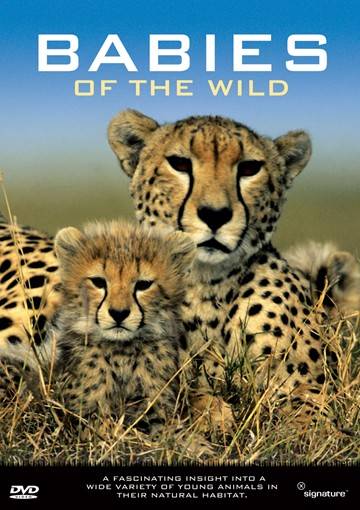 Babies of the Wild (DVD) - stock on hand