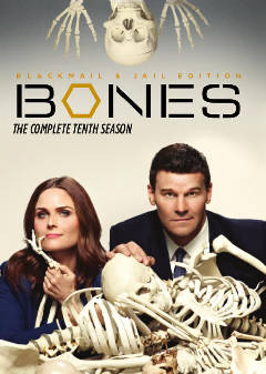 Bones - Season 10 (DVD Box Set)