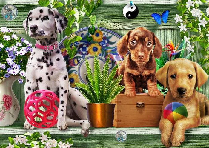 On Guard (18pc Puzzle)