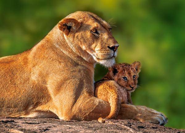 Mom and me (180pc Puzzle)