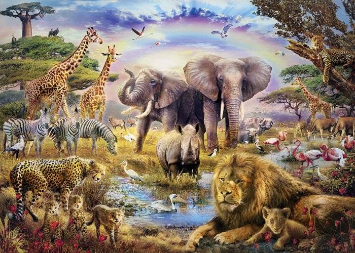Rainbow Waterhole (100pc Puzzle)
