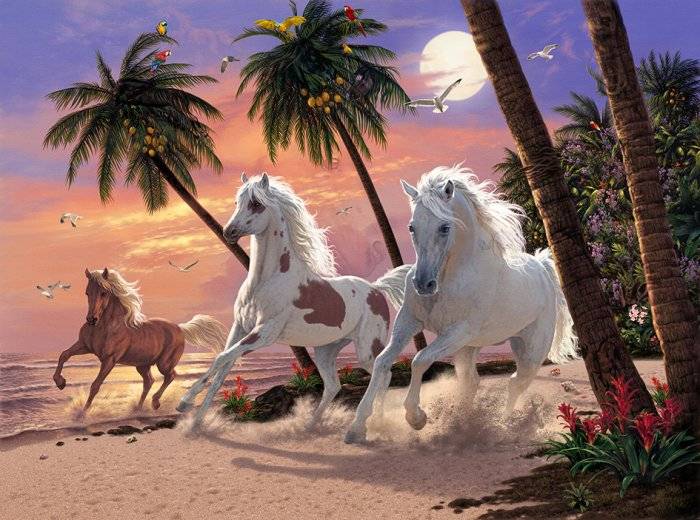 White Horse (50pc Puzzle)