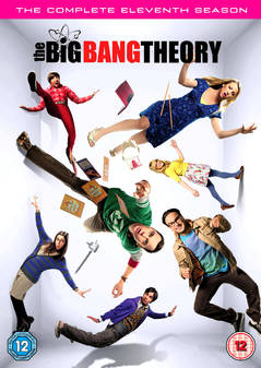 Big Bang Theory - Season 11 (DVD Box Set)