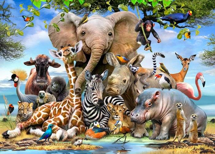 Babies of the wild (50pc Puzzle)
