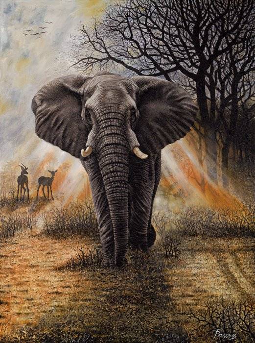 Jumbo Rays (1500pc Puzzle)