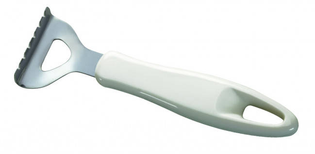 Tescoma Presto Fish Scraper (420120) - stock on hand