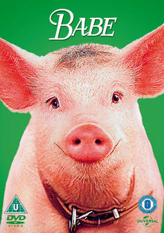 Babe (DVD)