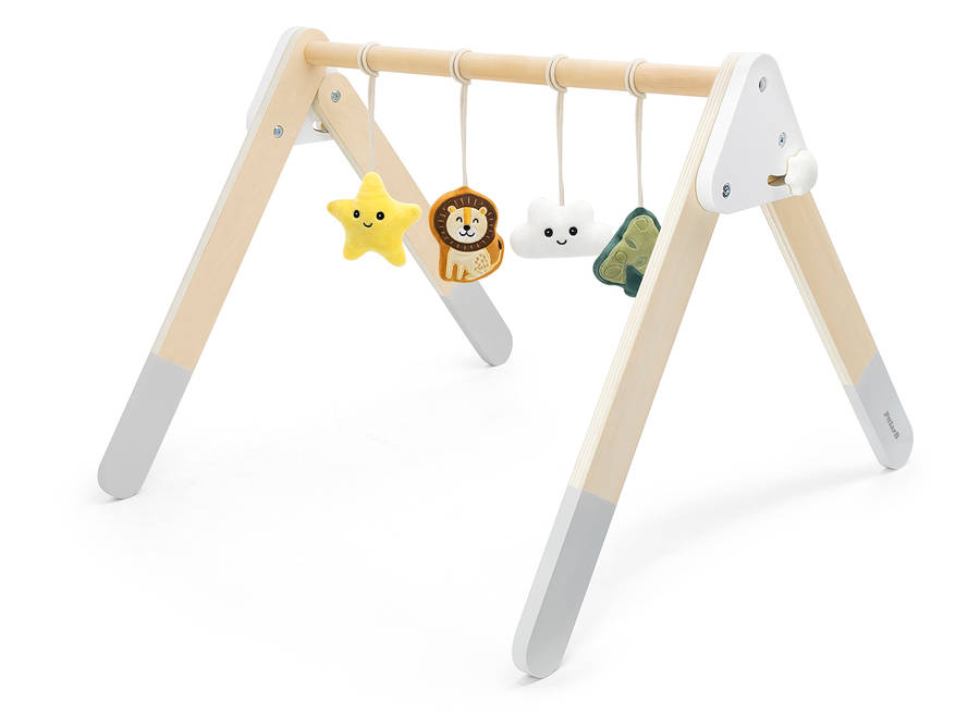 Baby Play Gym (RGS44085)