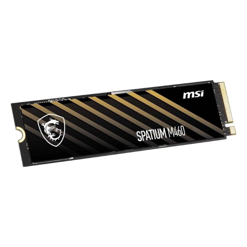 1TB SPATIUM M460 M.2 NVME Gen 4