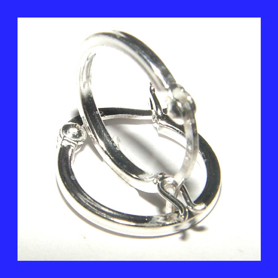 Gorgeous Hoop Earrings in Solid Sterling Silver