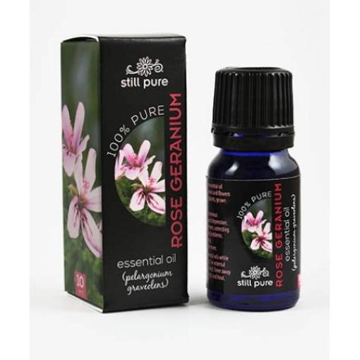 Still Pure Rose Geranium Essential Oil, 10ml