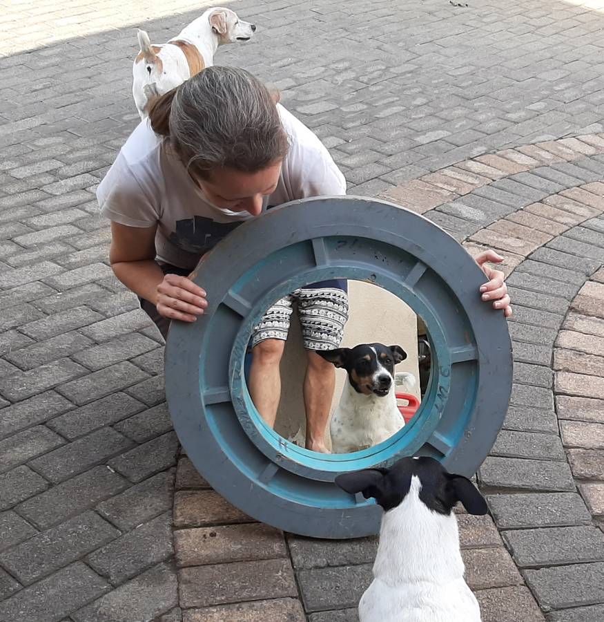 Blue round mirror