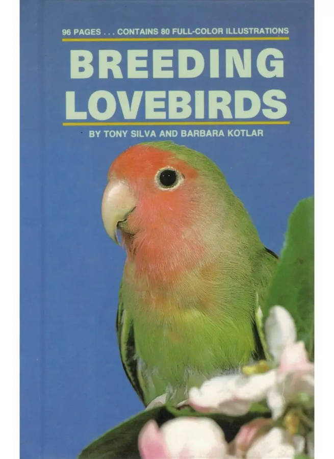 Breeding Lovebirds