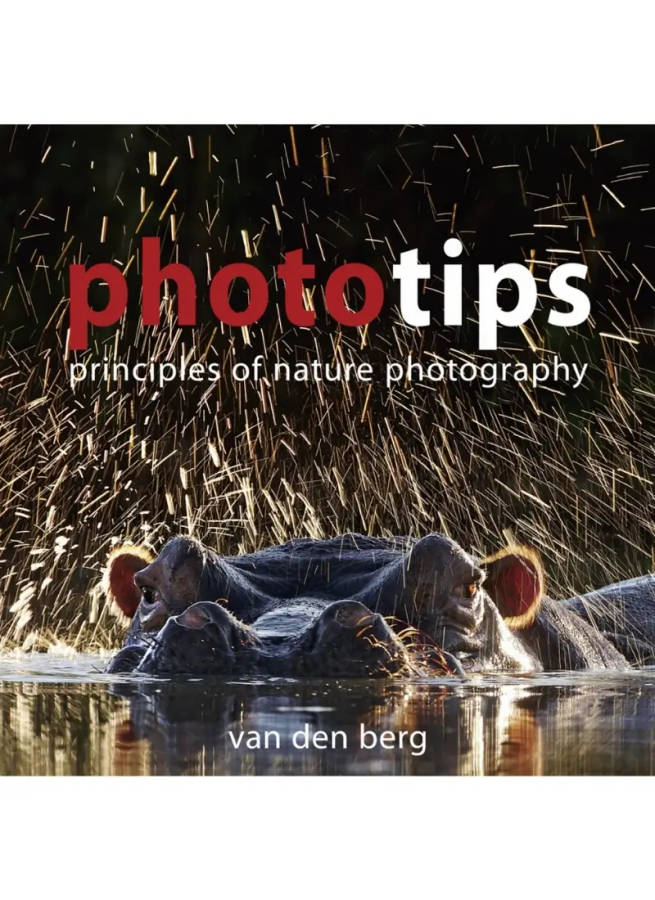 Phototips: Principles of Nature