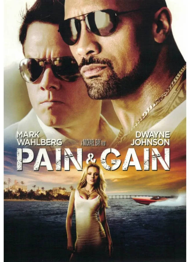 Pain and Gain (DVD)