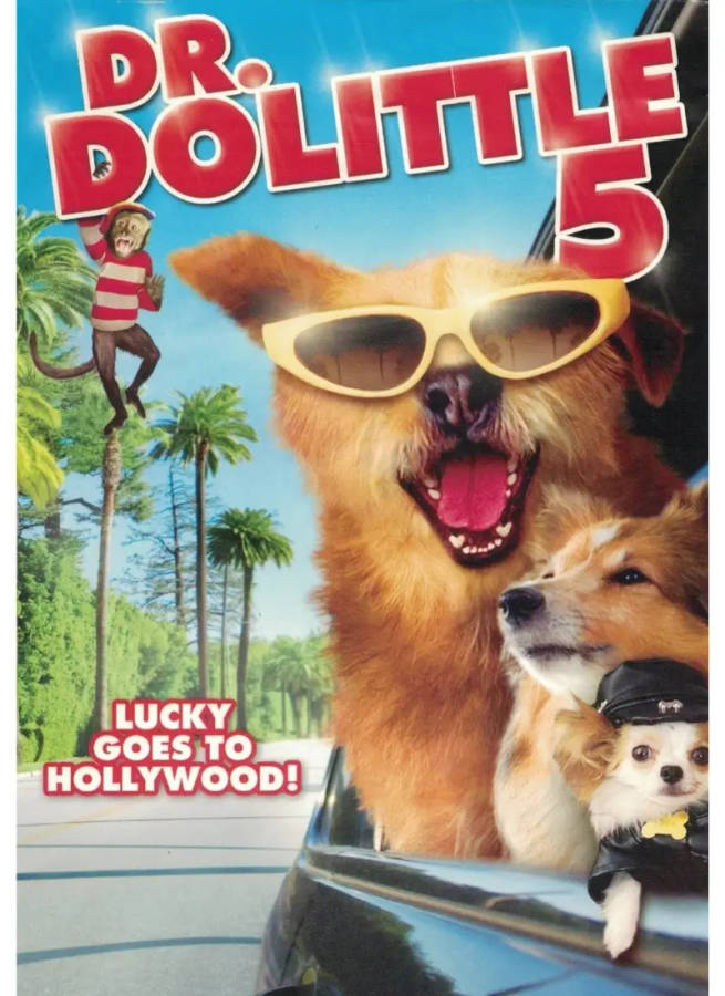Dr. Dolittle 5 (DVD)