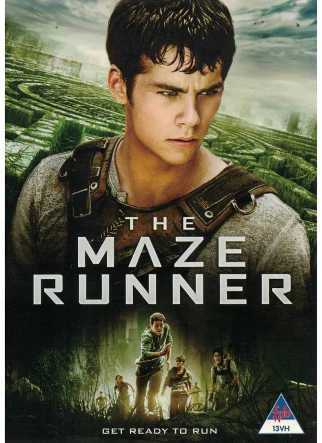 The Maze Runner (DVD)