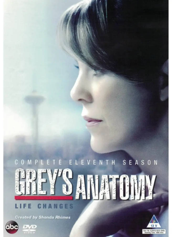 Grey's Anatomy - Season 11 (DVD)