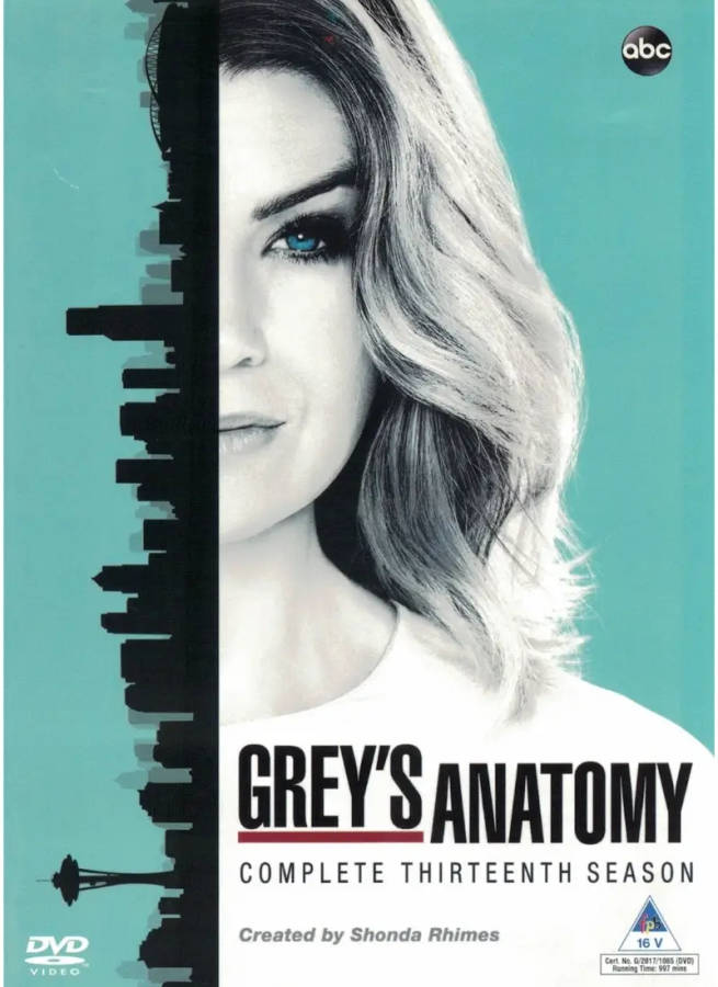 Grey's Anatomy - Season 13 (DVD)