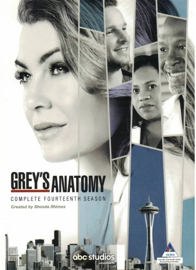 Grey's Anatomy - Season 14 (DVD)
