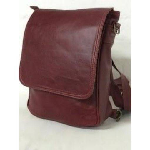 2 in 1 A4 Messenger/ Backpacks