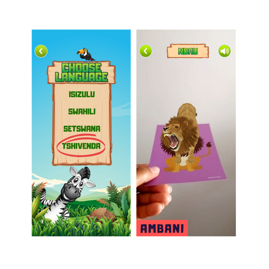Language Learning Flashcards