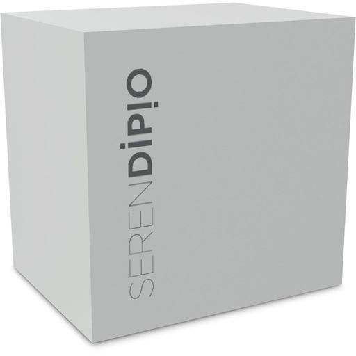 Serendipio Dorset Ceramic Coffe Mug - 400ml - Black