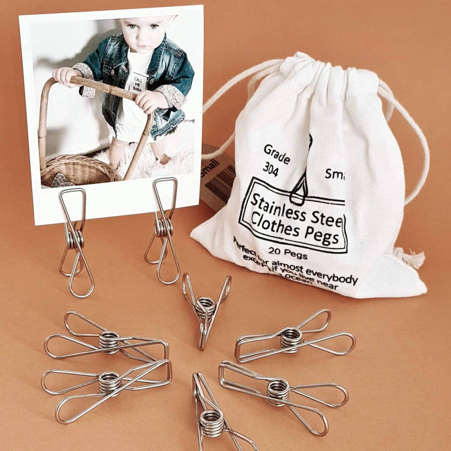 Stainless Steel Pegs-Grade 316-Pack of 40