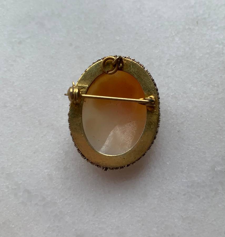 Gold Coloured Cameo Brooch With Decorative Metal Edging